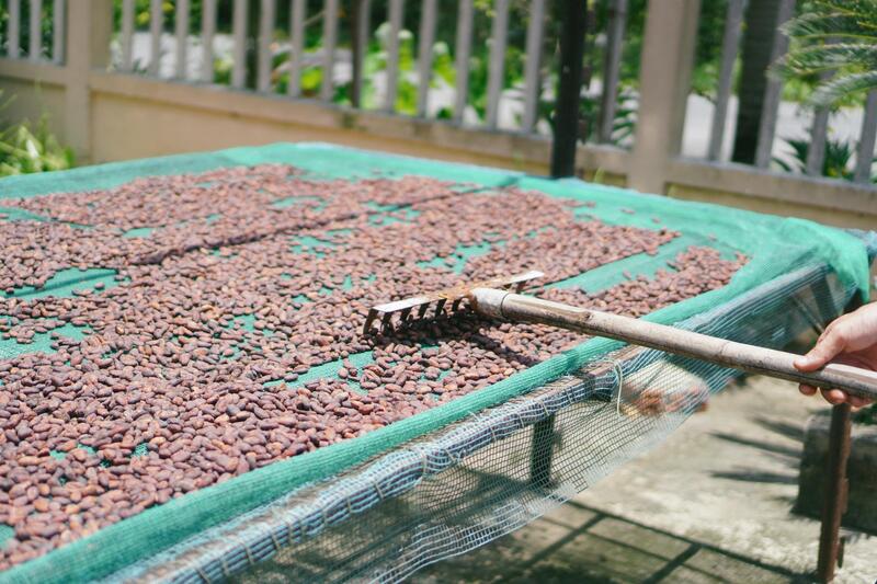 Hình ảnh nhà máy sản xuất socola